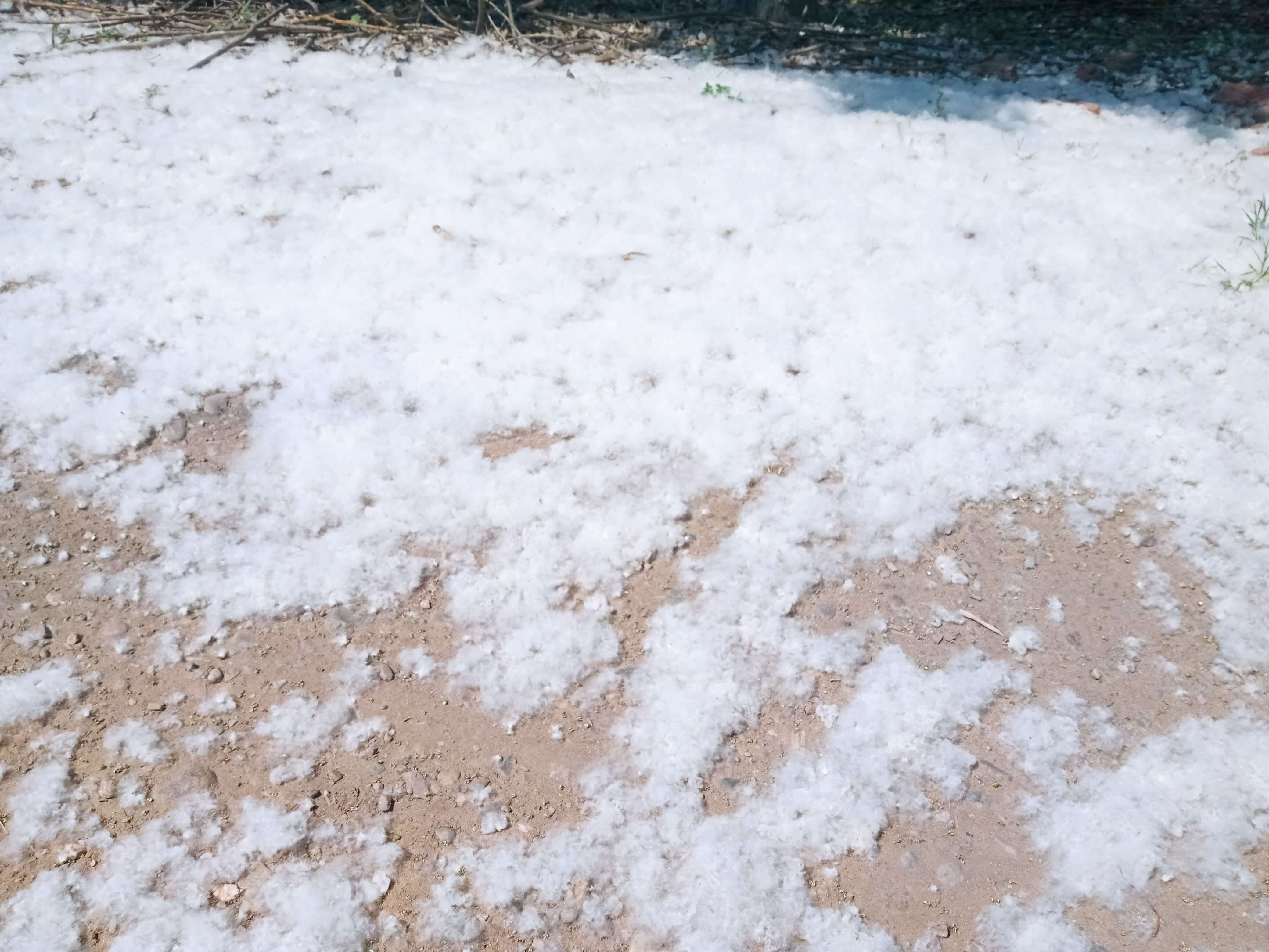原来夏天也可以看到雪呀